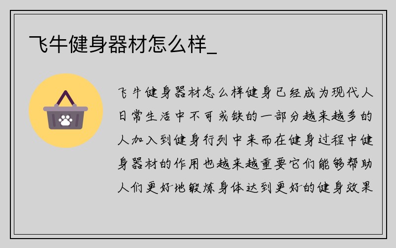 飞牛健身器材怎么样_